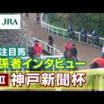 【注目馬 関係者インタビュー】2024年 神戸新聞杯|JRA公式