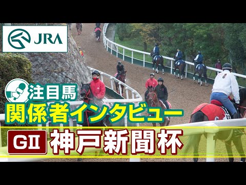 【注目馬 関係者インタビュー】2024年 神戸新聞杯｜JRA公式