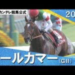 2024年 オールカマー(GⅡ) レーベンスティール【カンテレ公式】
