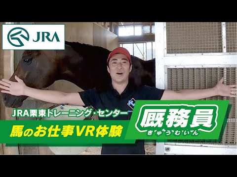 【馬のお仕事VR体験】栗東トレーニング・センター「厩務員の１日」 | JRA公式