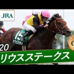 2020年 シリウスステークス(GⅢ) | カフェファラオ | JRA公式