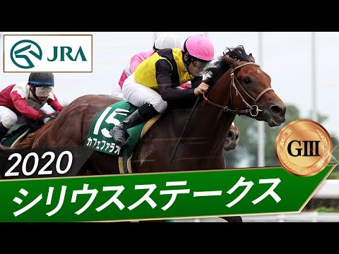 2020年 シリウスステークス（GⅢ） | カフェファラオ | JRA公式