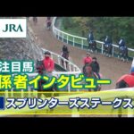 【注目馬 関係者インタビュー】2024年 スプリンターズステークス|JRA公式