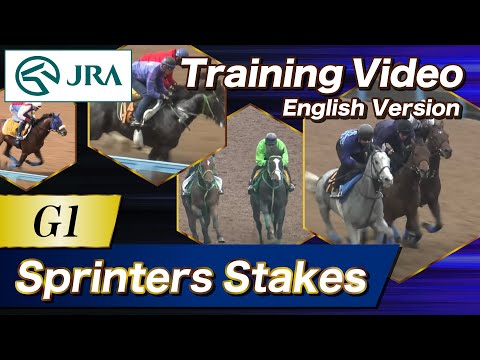 2024 Sprinters Stakes (G1) Training Video | JRA Official [ENG sub] スプリンターズステークス 調教VTR（英語版）