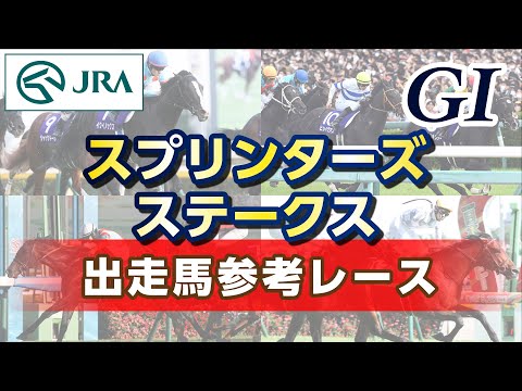 【参考レース】2024年 スプリンターズステークス｜JRA公式