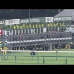 2024 SPRINTERS STAKES(G1) | JRA Official