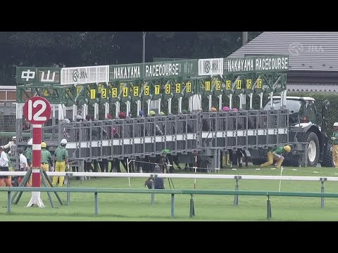 2024 SPRINTERS STAKES(G1) | JRA Official