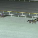 【日本テレビ盃2024】結果・動画/ウィリアムバローズが後続を完封