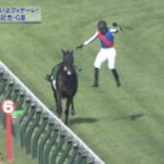 【競馬】新潟記念 レース前に坂井瑠星が落馬してライトバックが放馬で大暴れ