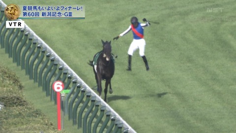 【競馬】新潟記念　レース前に坂井瑠星が落馬してライトバックが放馬で大暴れ