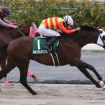 【シリウスS】トップハンデ59.5ハギノアレグリアスが差し切りV!連覇達成