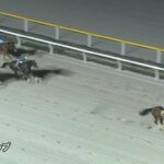 【マリーンカップ2024】結果・動画/テンカジョウが5馬身差V