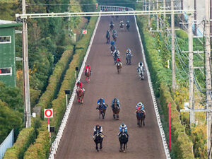 アメリカ競馬で見られない日本の坂路調教