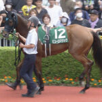 【競馬予想】[2]第38回セントウルステークス(GⅡ) /2024