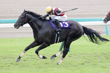 ドゥラメンテ産駒 春天勝ち馬もスプリンターズステークス勝ち馬も出す