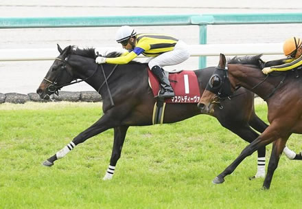 マスクトディーヴァ川田と新コンビで府中牝馬S