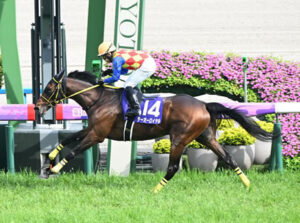 テーオーロイヤル 菱田が落馬負傷で横山武史で京都大賞典