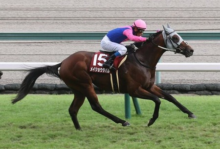 【神戸新聞杯】大外枠2番人気メイショウタバルが鮮やかな逃げ切りV！重賞2勝目