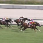 【セントウルステークス2024】結果・動画/トウシンマカオがまとめて差し切る