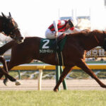 ウインカーネリアン左蹄と右トモのトラブルでスプリンターズSを回避