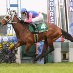 【競馬予想】第72回 神戸新聞杯(GⅡ)/2024