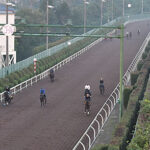 関東(美浦)は若手育てる気ないよな