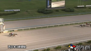 【西日本3歳優駿】シンメデージー強すぎワラタｗｗｗ