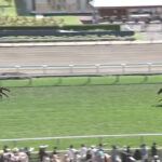【2歳未勝利】ヒシアマン強すぎワロタwww