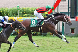 【小倉2歳S】1番人気エイシンワンドが人気に応えV!重賞初制覇