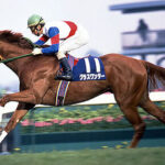 JRA70周年「血の物語」グラス-スクリン-モーリス-ピクシー最強の系譜
