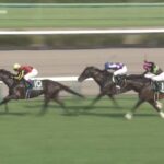【京成杯オータムハンデ2024】結果・動画/アスコリピチェーノが断然人気に応える