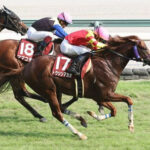 【セントウルS】トウシンマカオが直線差し切ってV!重賞4勝目
