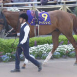 【競馬予想】[1]第78回セントライト記念(GⅡ) /2024