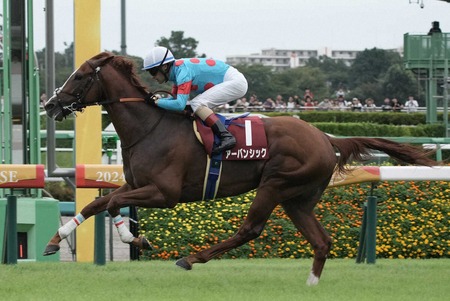 【セントライト記念】2番人気アーバンシックが直線突き抜け快勝！重賞初勝利