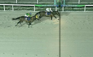 【日テレ盃】ウシュバテソーロ弱すぎクソワロタｗｗｗ