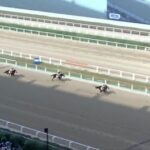 【競馬】コリアカップは横山武騎乗のクラウンプライドが連覇 ウィルソンテソーロ2着で日本馬ワンツー