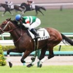 サートゥルナーリア産駒ファンダムが2歳コースレコードで快勝した件