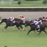 【スプリンターズステークス2024】結果・動画/ルガルが歓喜のG1初制覇