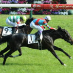 GI勝ちがダービーだけの馬で最強の馬って何?