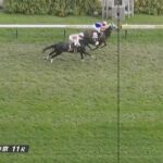 【競馬】神戸新聞杯は浜中騎乗のメイショウタバルが逃げ切りV