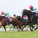 イクイノックスにあれだけ迫ったスルーセブンシーズって相当つよいよな?