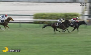 【野路菊S】エリキング強すぎワロタw w w w w