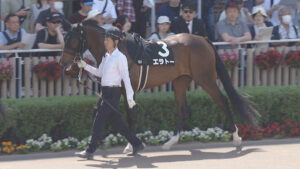 【紫苑S】サクソンウォリアー産駒エラトー本命なヤツ