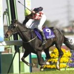 【訃報】中山グランドJ3連覇 豪州のカラジ死亡 (29歳)