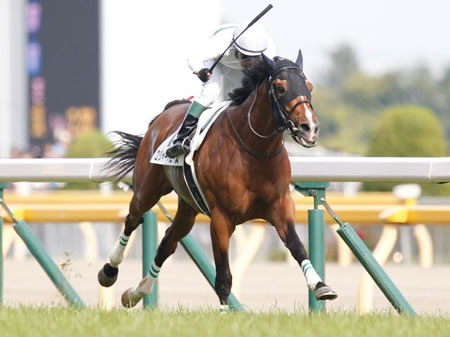 ダービー馬ロジャーバローズの死因が原因不明だった件