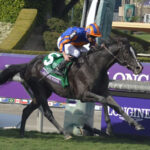 オーギュストロダン、ジャパンカップ後にクールモアで種牡馬入り