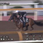 【セントウルステークス2024】追い切り/調教を見てわかる事