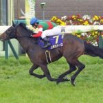【悲報】エポカドーロ、異次元の種牡馬成績を叩き出す