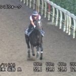 【ローズステークス2024】追い切り/動きを見極め勝利に近づけ