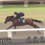 【神戸新聞杯2024】追い切り/動きを見極め勝利に近づけ